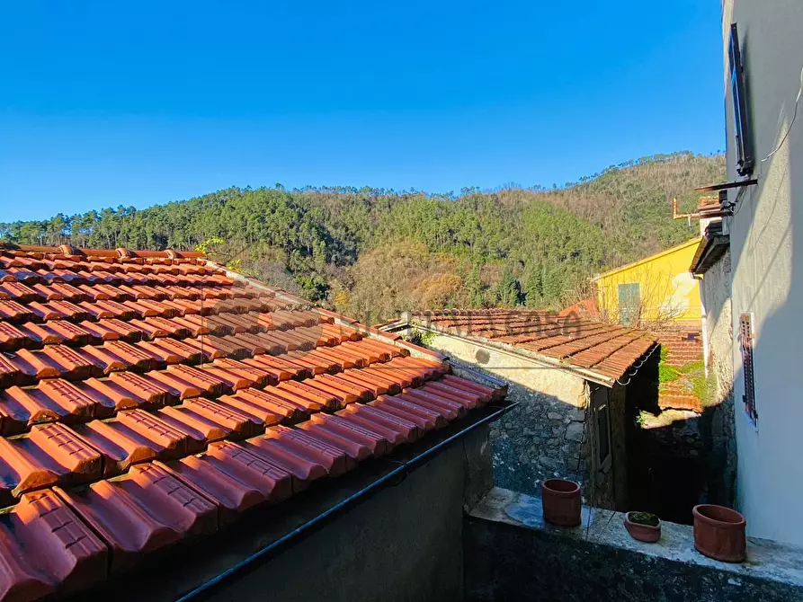 Immagine 6 di Rustico / casale in vendita  in Via Sperone 1616 a Follo