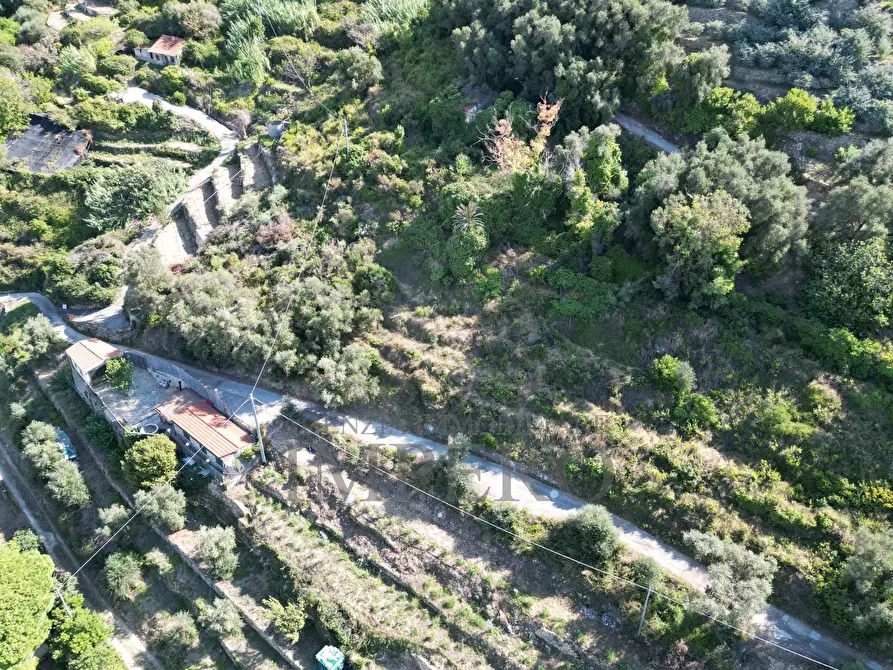 Immagine 9 di Terreno agricolo in vendita  in Via Silvio Pellico 10 a Bordighera