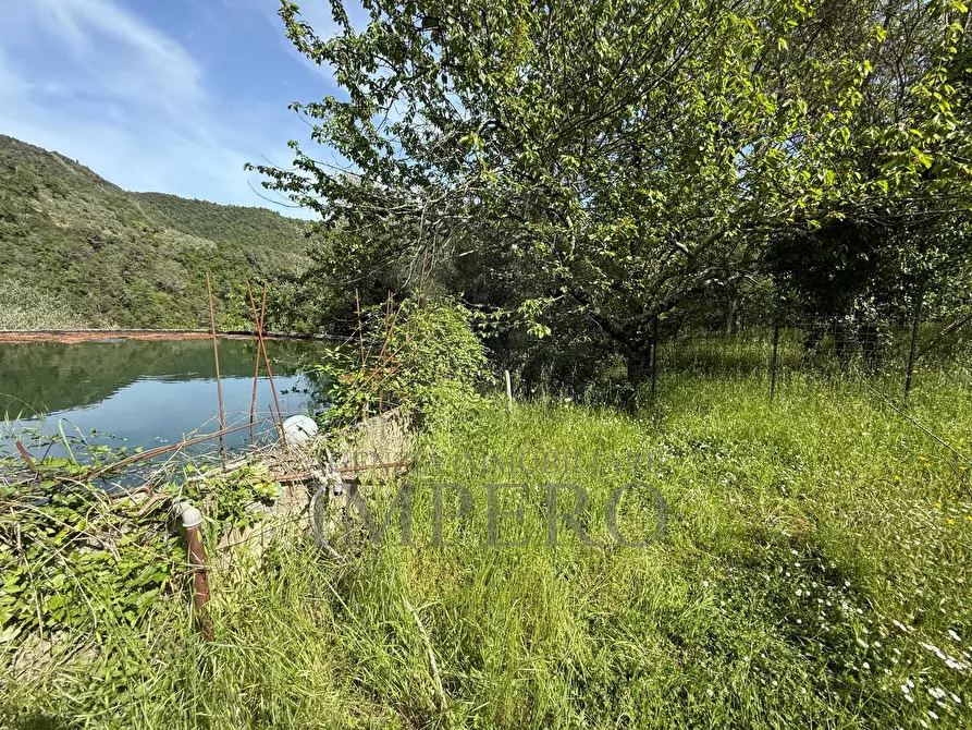 Immagine 36 di Casa indipendente in vendita  in localitò pian del soglio a Apricale