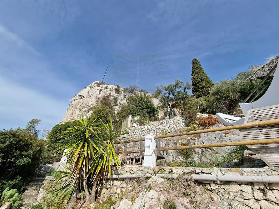 Immagine 10 di Villa in vendita  in Corso Mentone 2 a Ventimiglia