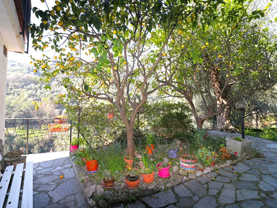 Immagine 31 di Porzione di casa in vendita  in Via San Anfosso Ten. 18 a Ventimiglia