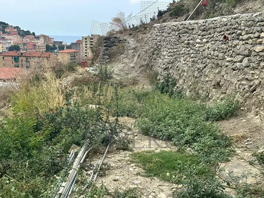 Immagine 3 di Terreno agricolo in vendita  in Via Monsignor Nicolò Peitavino a Ventimiglia
