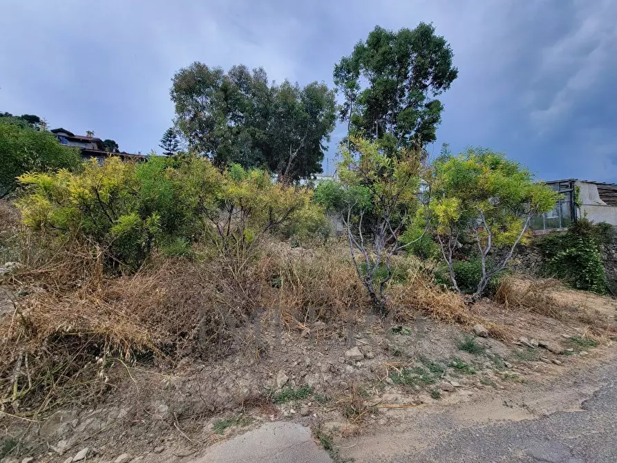 Immagine 13 di Terreno agricolo in vendita  in Via delle Otto Case 1 a Ventimiglia