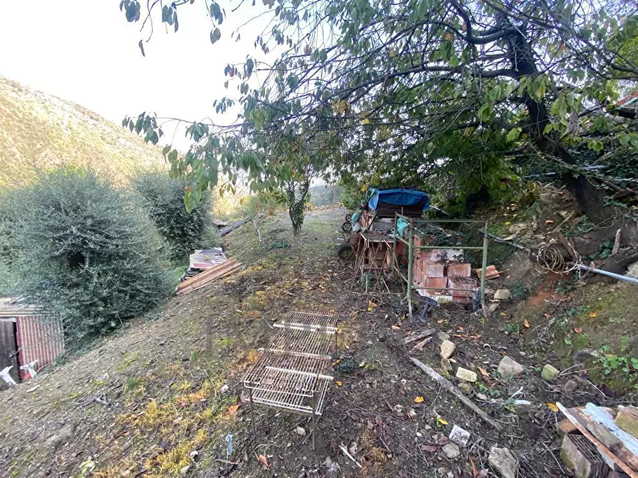 Immagine 24 di Casa indipendente in vendita  in Via Umberto Lorenzi a Ventimiglia