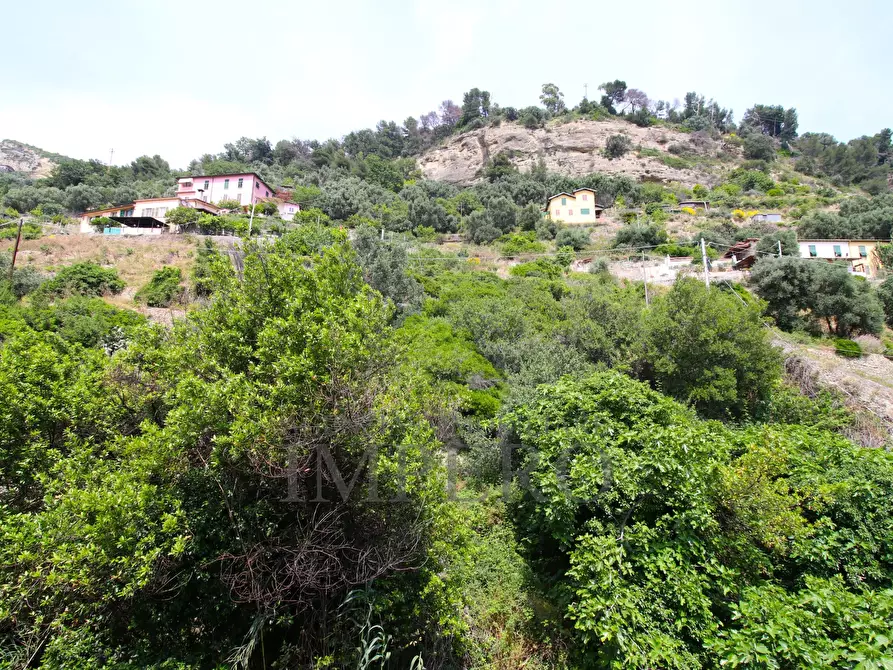 Immagine 14 di Trilocale in vendita  in Via Tenda 46 a Ventimiglia