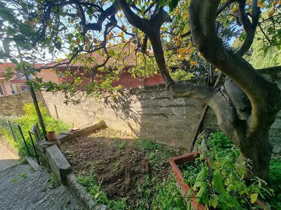 Immagine 29 di Porzione di casa in vendita  in Via Poggio Ponente 5 a Vallecrosia