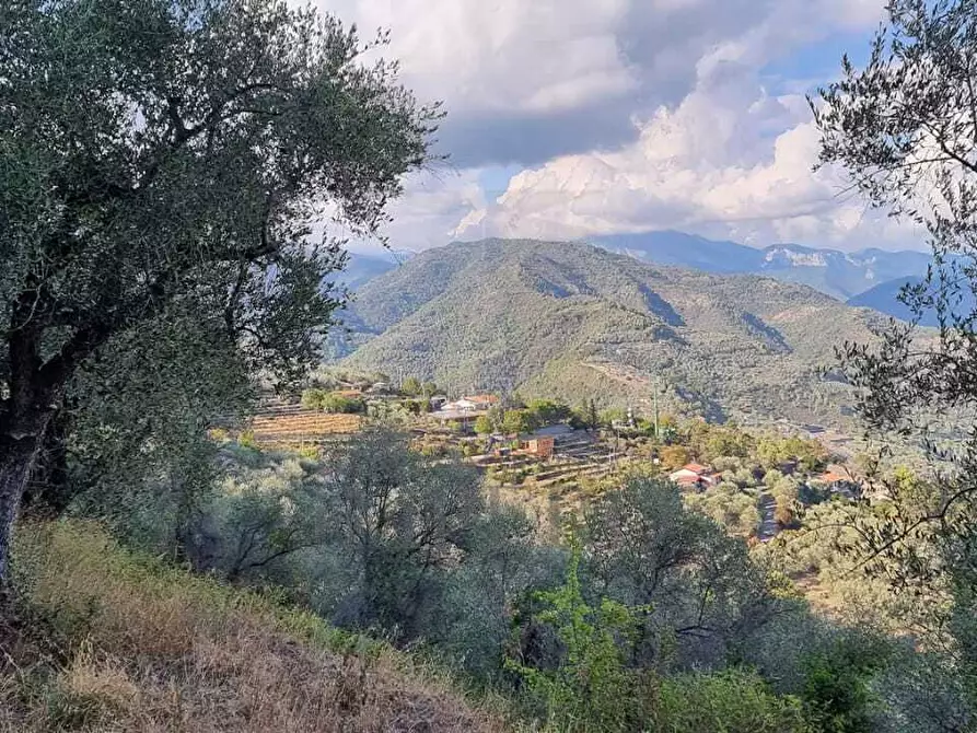 Immagine 5 di Residence in vendita  in Strada Provinciale a Dolceacqua