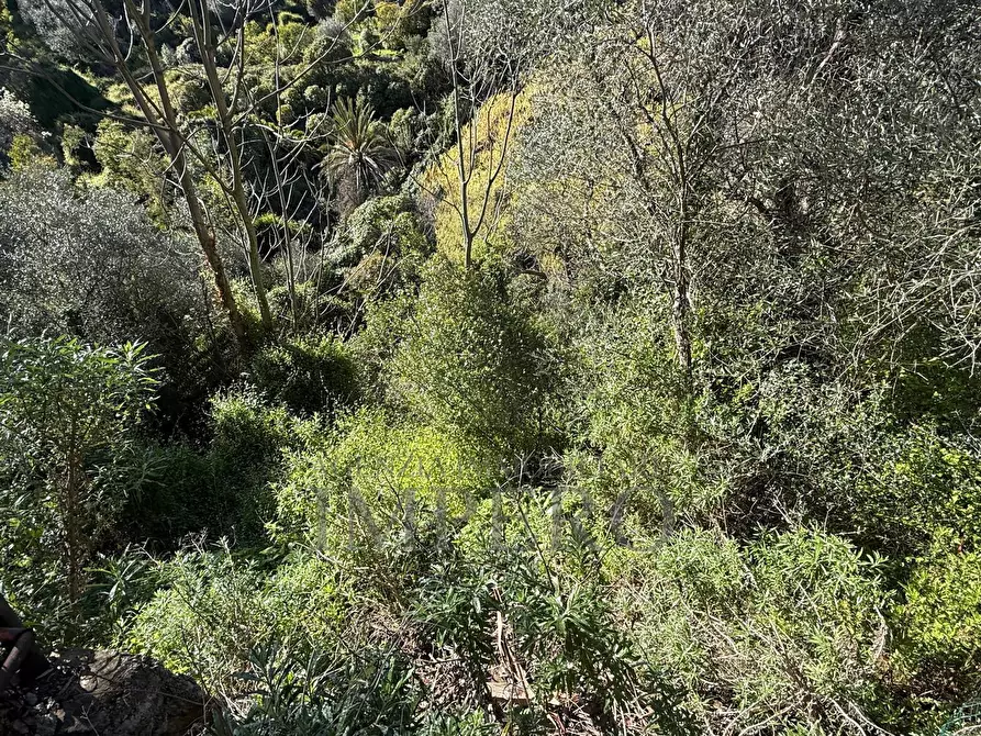 Immagine 14 di Casa indipendente in vendita  in Via Silvio Pellico a Bordighera