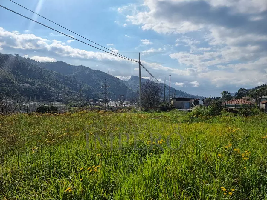 Immagine 4 di Terreno agricolo in vendita  in via udine 1 a Camporosso