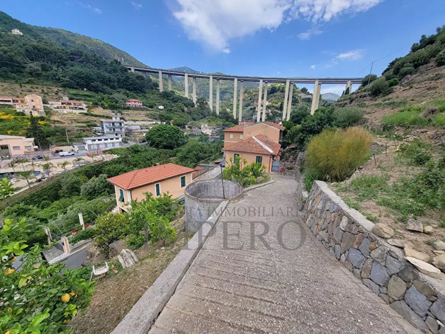 Immagine 6 di Terreno agricolo in vendita  in Via Anacleto Hughes 22/A a Ventimiglia