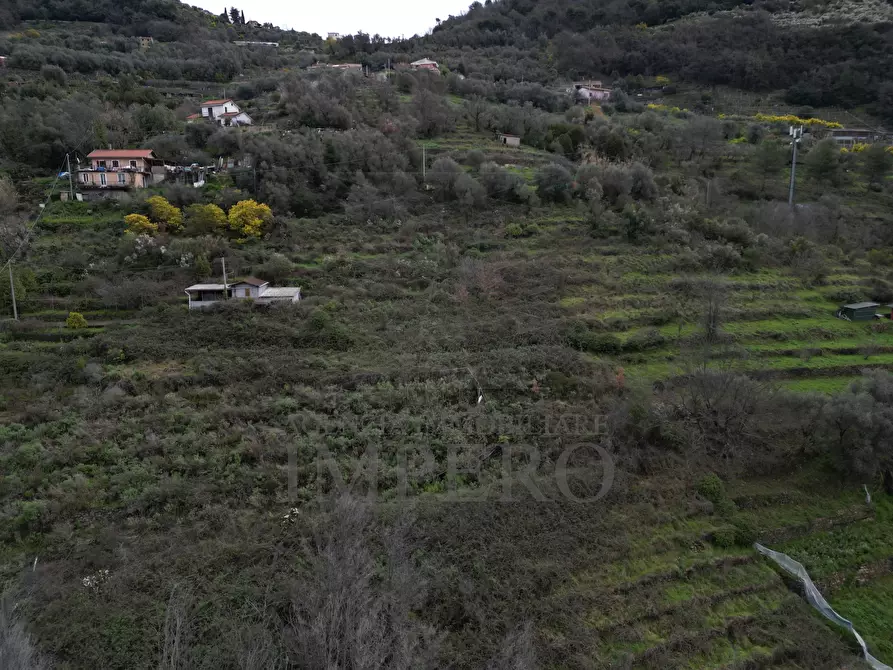 Immagine 12 di Terreno agricolo in vendita  in SP59 39 a Vallecrosia