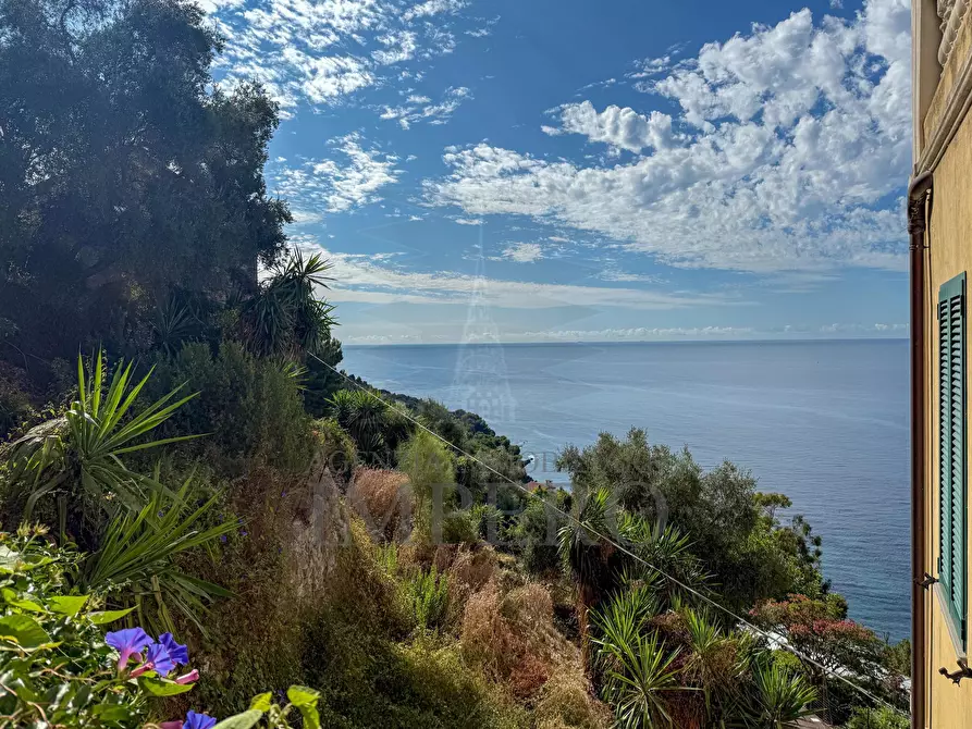 Immagine 2 di Terreno agricolo in vendita  in Corso Mentone 37 a Ventimiglia