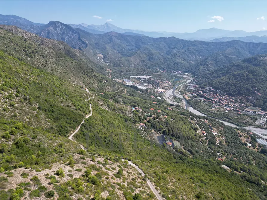 Immagine 27 di Terreno agricolo in vendita  in Via alla Stazione 40 a Ventimiglia
