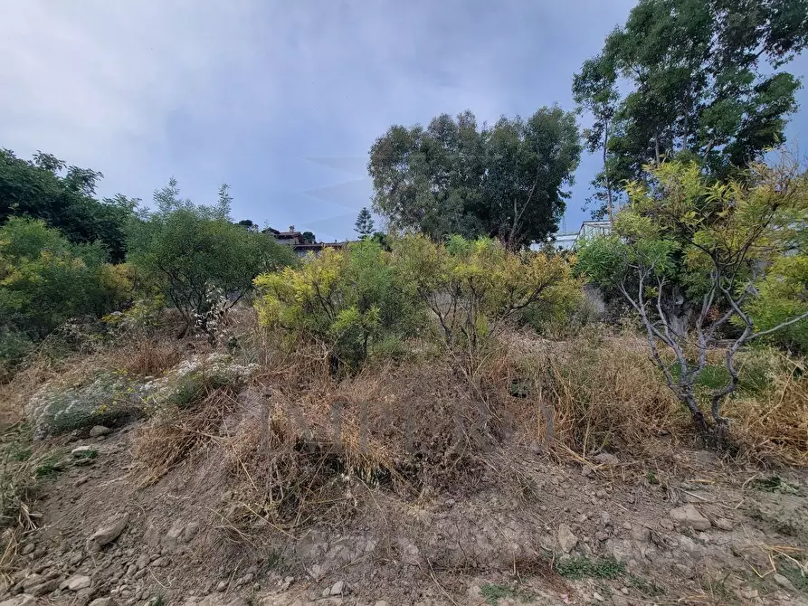 Immagine 8 di Terreno agricolo in vendita  in Via delle Otto Case 1 a Ventimiglia