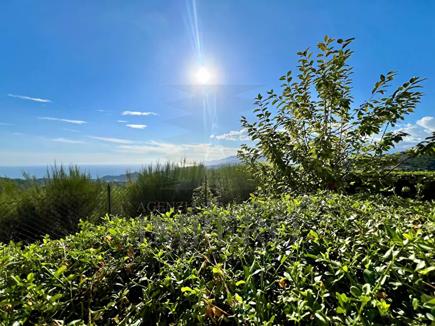 Immagine 64 di Villa in vendita  in Via Antico Principato 8 a Seborga