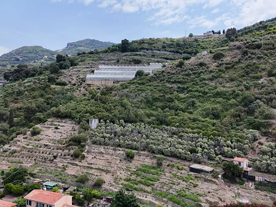 Immagine 21 di Terreno agricolo in vendita  in Via Anacleto Hughes 22/A a Ventimiglia