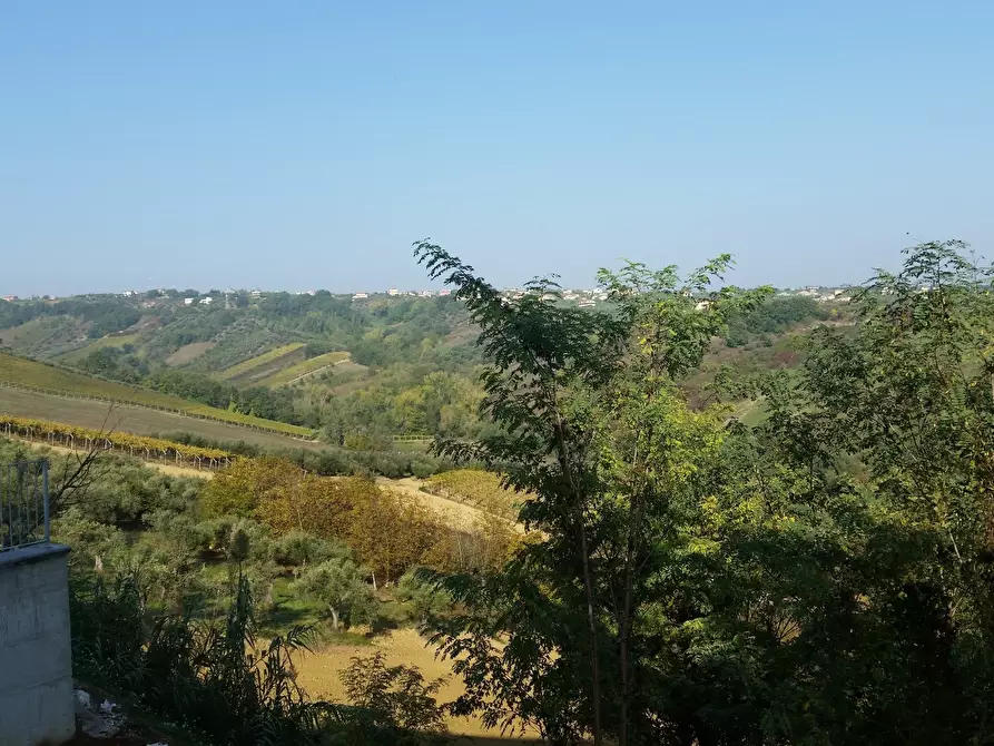 Immagine 14 di Bilocale in affitto  a Torrevecchia Teatina