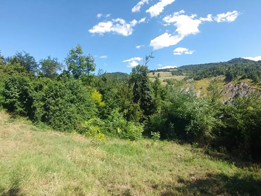 Immagine 15 di Rustico / casale in vendita  in mauro tesi 112 a Zocca