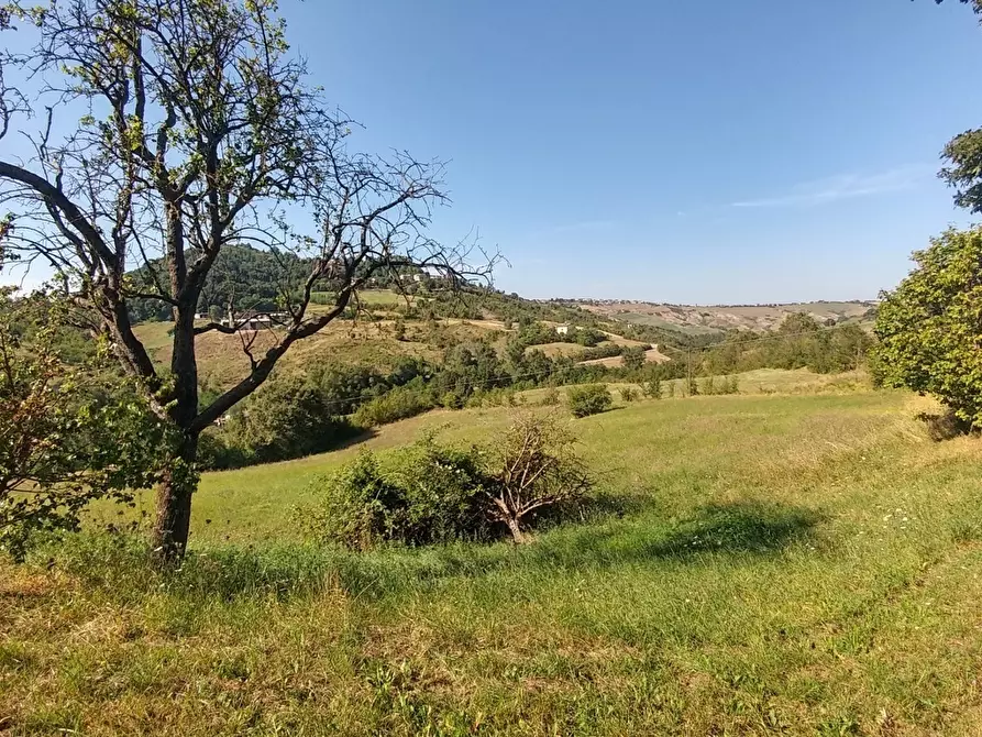 Immagine 9 di Rustico / casale in vendita  in via buzzeda a Guiglia