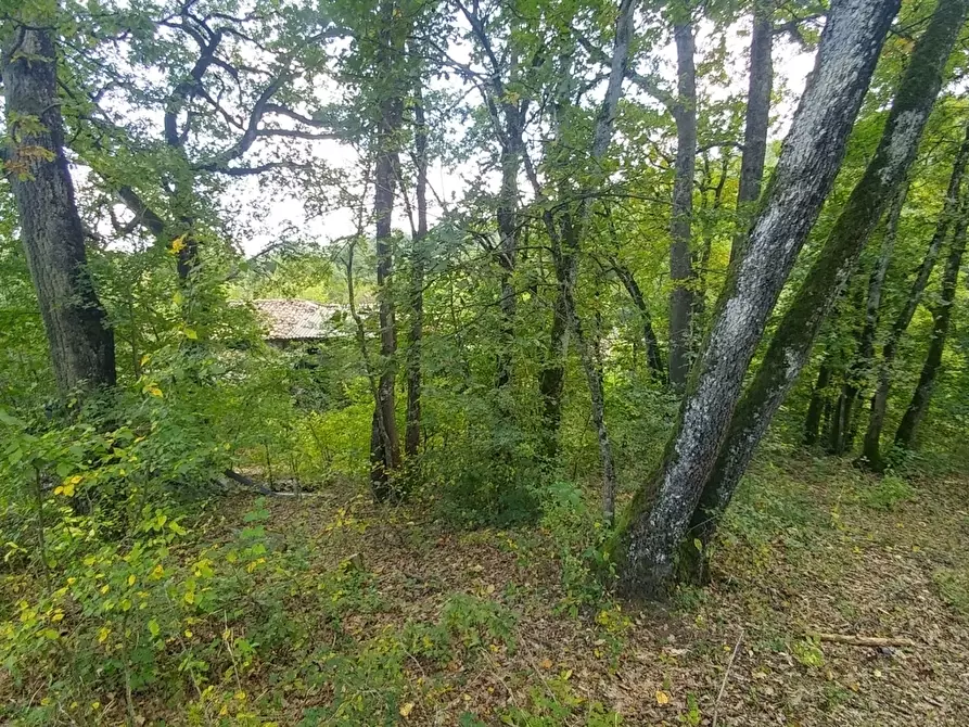 Immagine 25 di Rustico / casale in vendita  in via Selve 3205 a Zocca