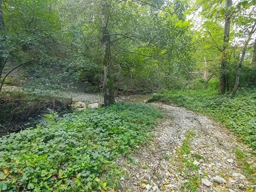 Immagine 27 di Rustico / casale in vendita  in via Selve 3205 a Zocca