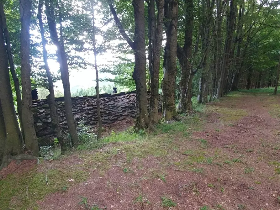 Immagine 31 di Rustico / casale in vendita  in Via Cà Zucchi 1294 a Fanano