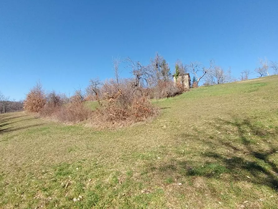 Immagine 13 di Rustico / casale in vendita  a Zocca