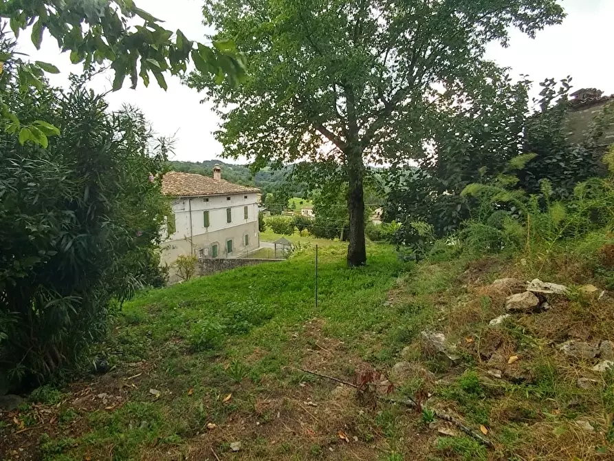 Immagine 32 di Rustico / casale in vendita  in Via Castello 94 a Zocca