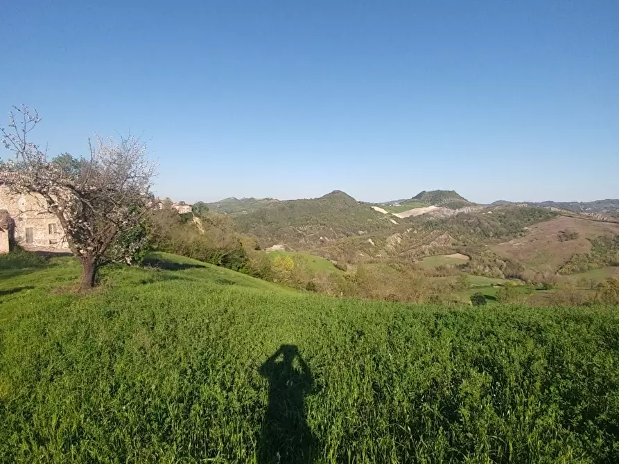 Immagine 20 di Rustico / casale in vendita  in Via Castello 45 a Monte San Pietro
