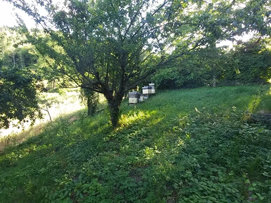 Immagine 41 di Rustico / casale in vendita  in Via Righetti 622 a Montese