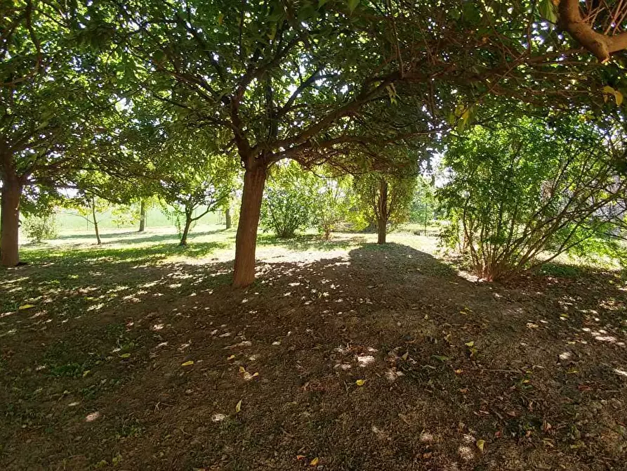 Immagine 11 di Villa in vendita  in Stradello Giovanardi 95 a Modena