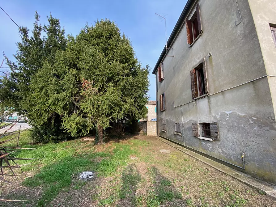 Immagine 6 di Casa indipendente in vendita  in Via Arginelli 55 a Adria