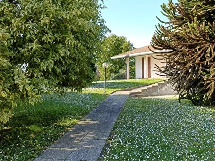 Immagine 7 di Casa indipendente in vendita  a Villanova Marchesana