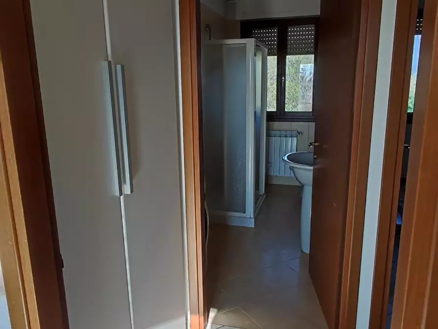 Immagine 7 di Trilocale in affitto  a Rovigo