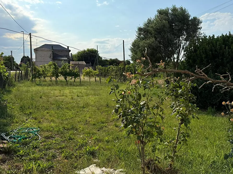 Immagine 9 di Casa indipendente in vendita  a Villamarzana