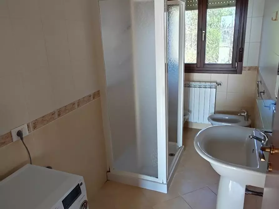 Immagine 6 di Trilocale in affitto  a Rovigo