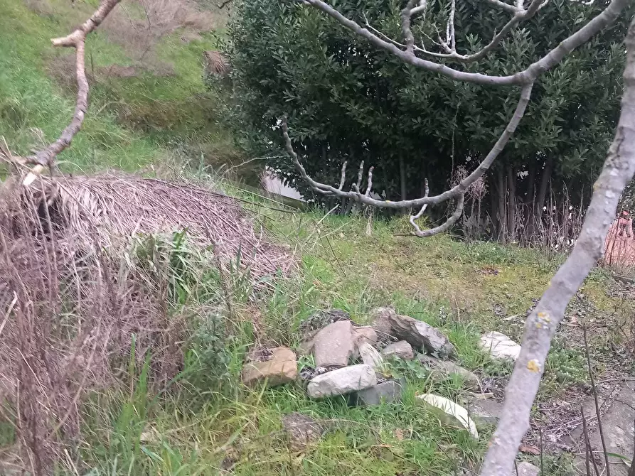 Immagine 3 di Terratetto in vendita  in Via XXIV Maggio 140 a Novafeltria