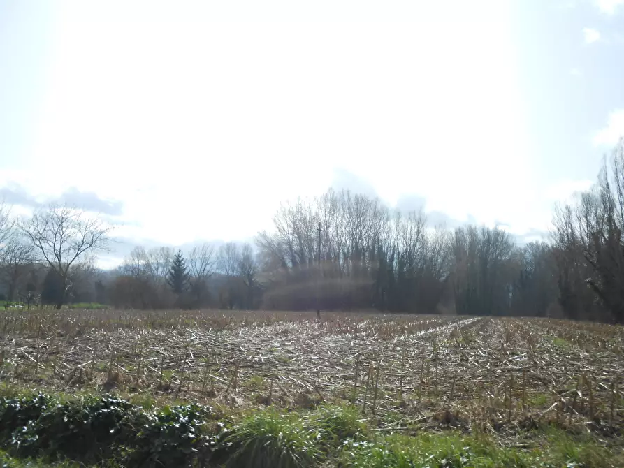 Immagine 18 di Terreno agricolo in vendita  in Via San Donato 925/A a Lucca