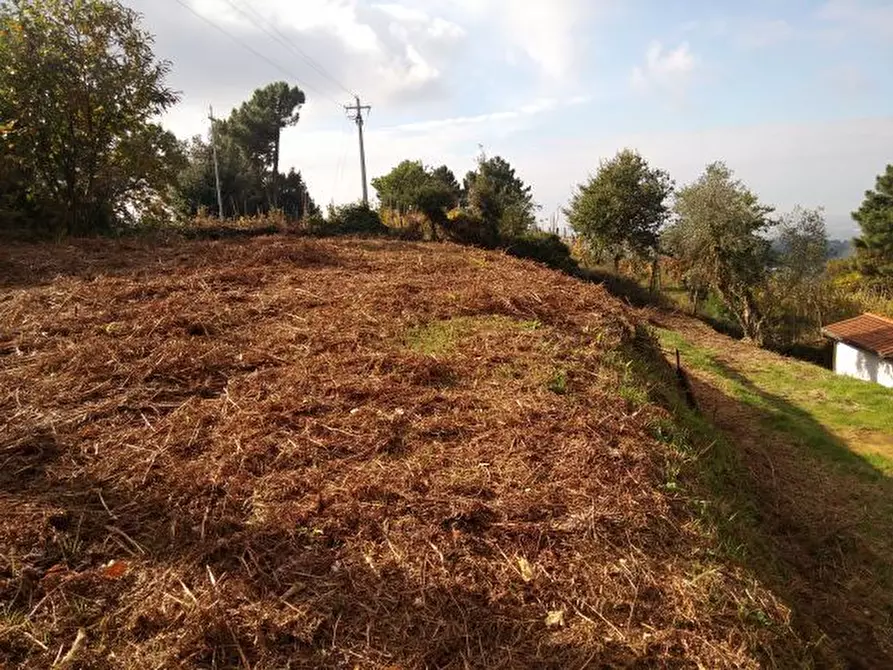 Immagine 12 di Terreno agricolo in vendita  in via di caroggia a Lucca