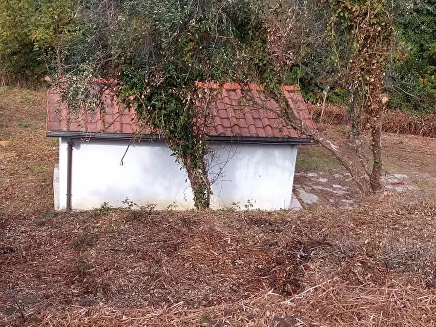 Immagine 4 di Terreno agricolo in vendita  in via di caroggia a Lucca