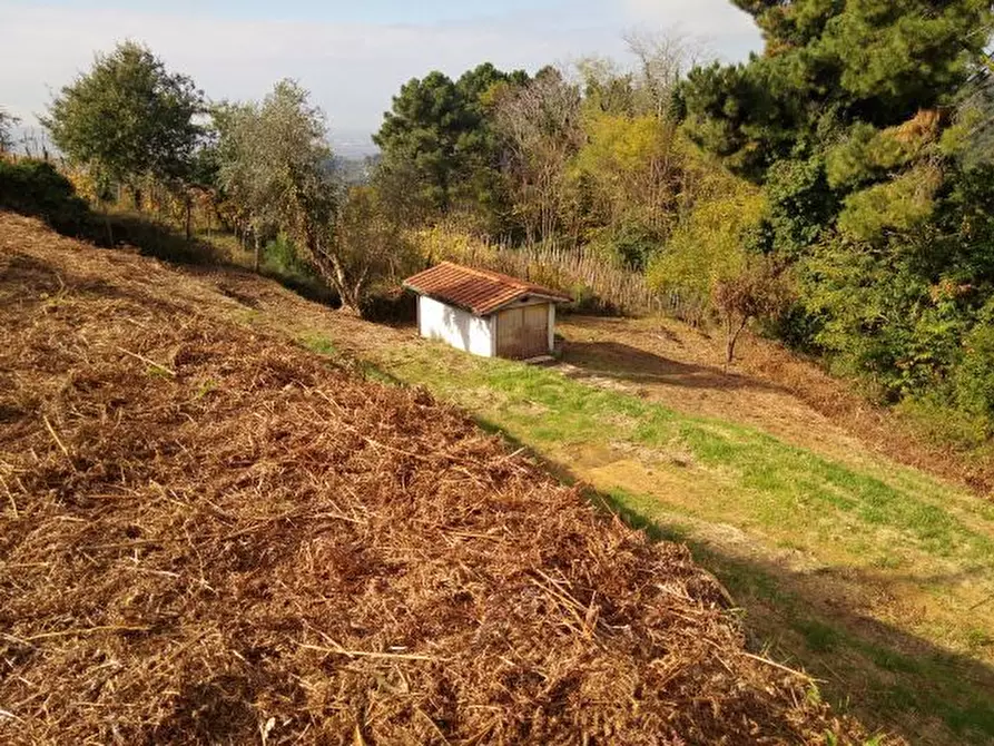 Immagine 8 di Terreno agricolo in vendita  in via di caroggia a Lucca