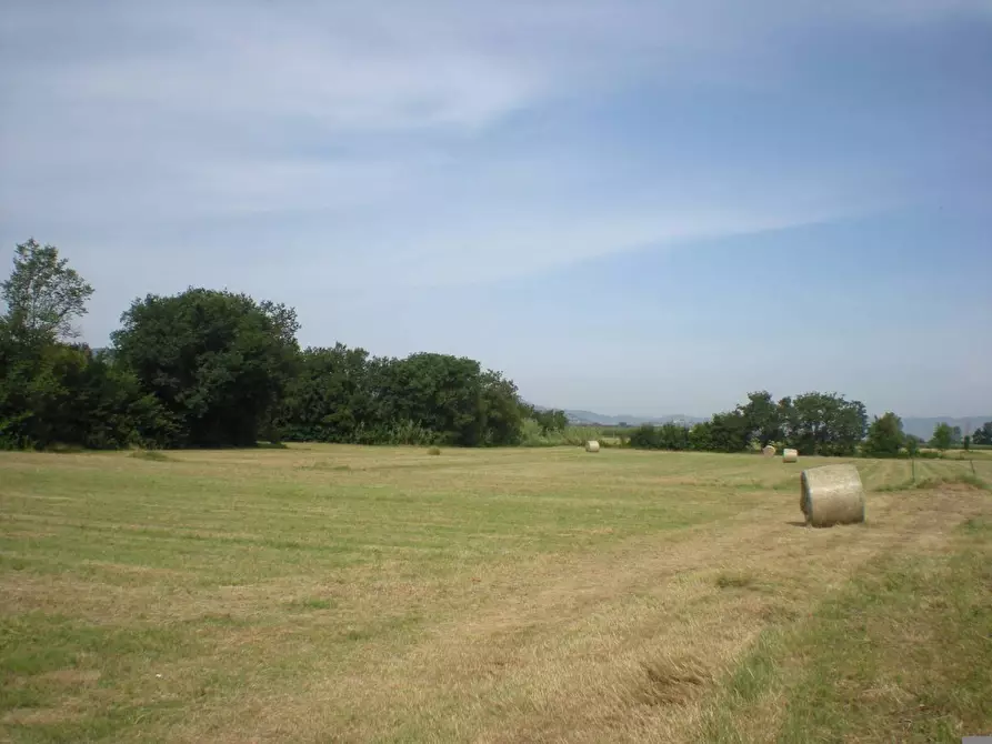 Immagine 6 di Rustico / casale in vendita  in del castellaccio a Lucca