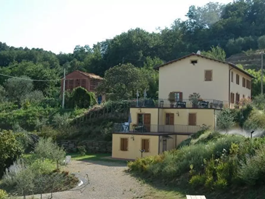Immagine 28 di Rustico / casale in vendita  in Via dei Pieroni a Capannori
