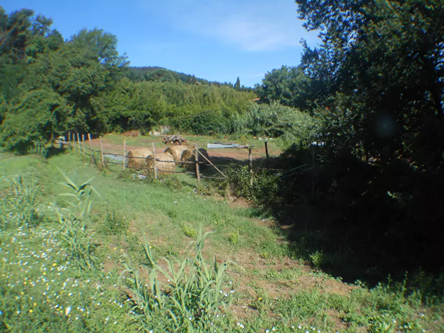 Immagine 12 di Terreno industriale in vendita  in Via Francesco Ferraris a Lucca