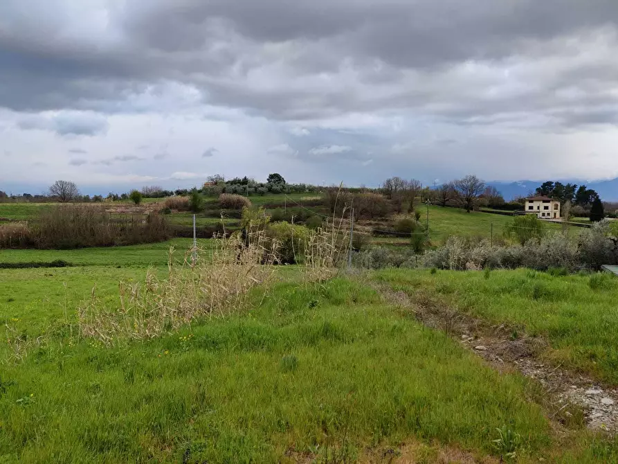 Immagine 5 di Rustico / casale in vendita  in Via Vicinale dello Stecchino a Lucca
