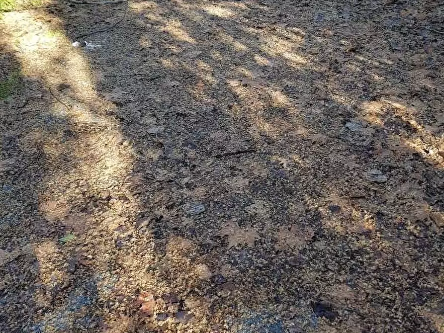 Immagine 16 di Ufficio in affitto  in Via Pesciatina a Capannori