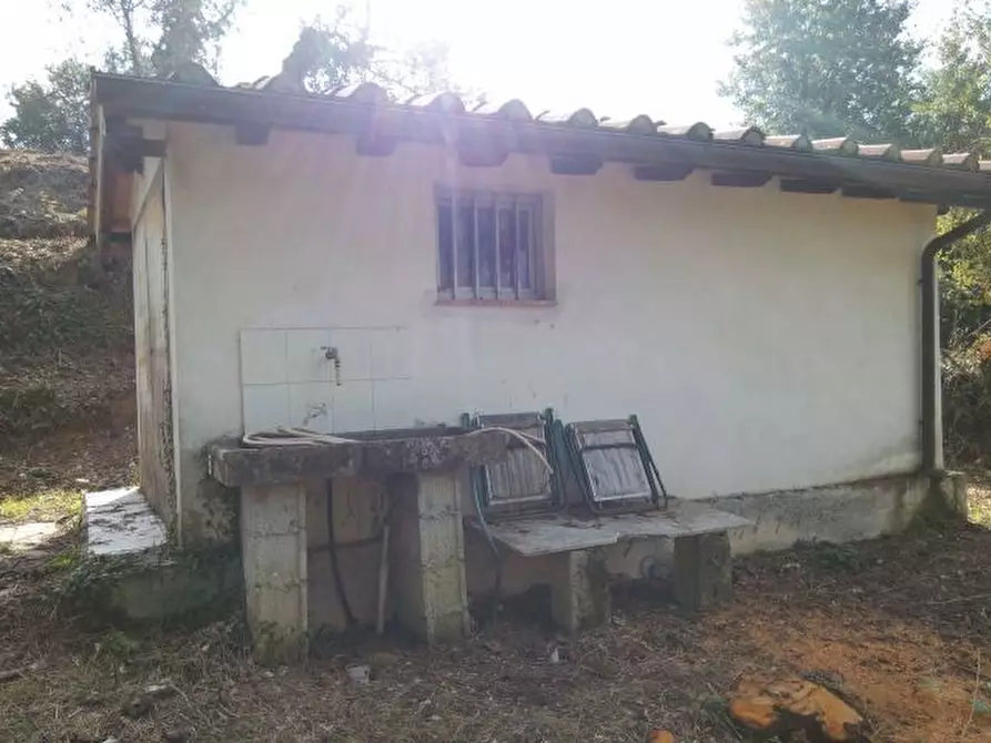 Immagine 19 di Terreno agricolo in vendita  in via di caroggia a Lucca