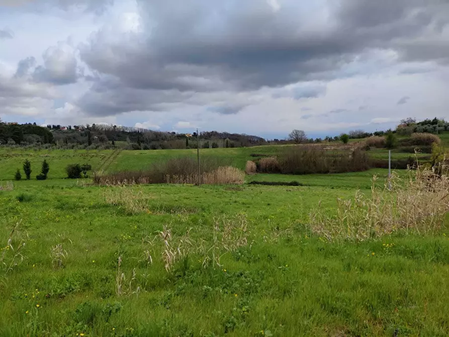 Immagine 10 di Rustico / casale in vendita  in Via Vicinale dello Stecchino a Lucca