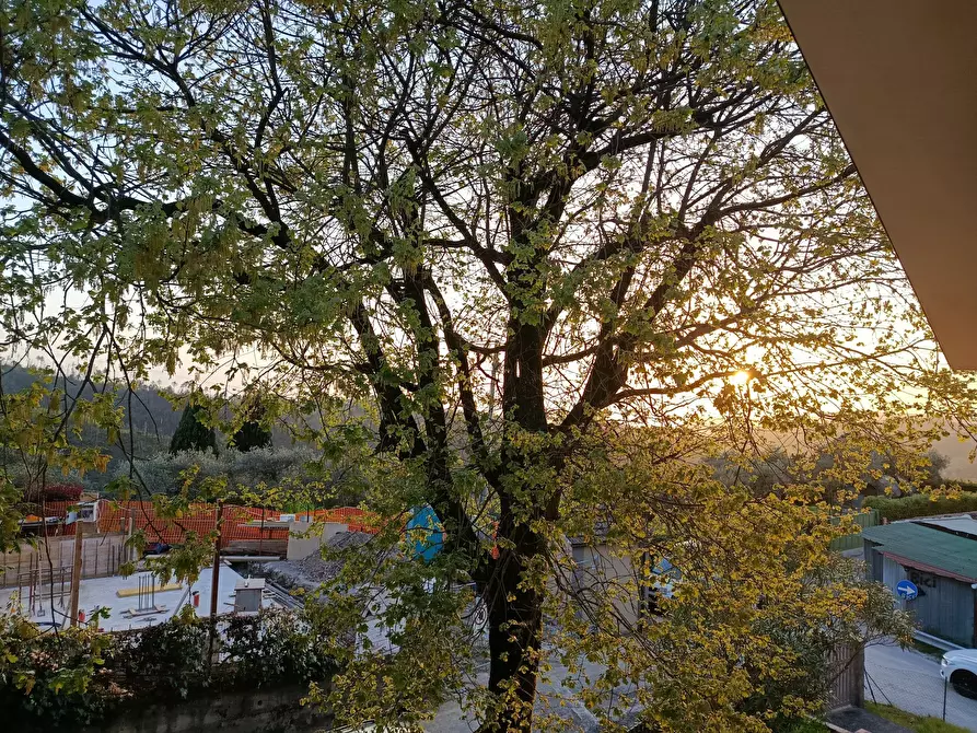 Immagine 17 di Villa in vendita  a Massarosa