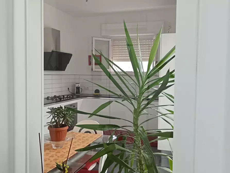 Immagine 9 di Casa semindipendente in vendita  a Viareggio